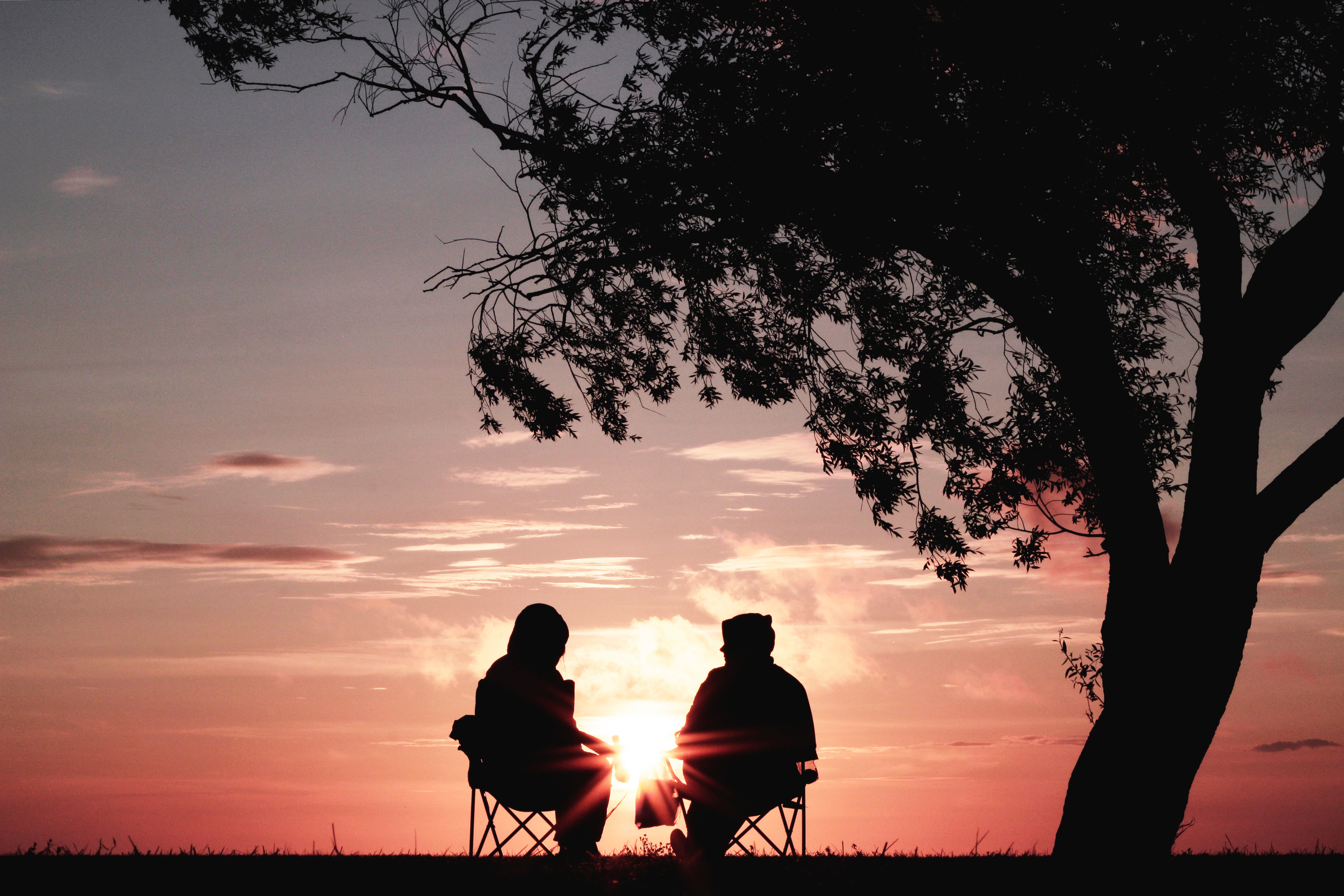 couple sitting in the sunset with a tree